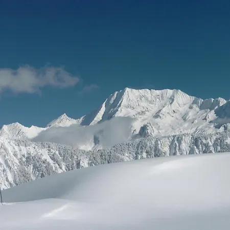 D'exception - Domaine Du Jardin Alpin, 1850