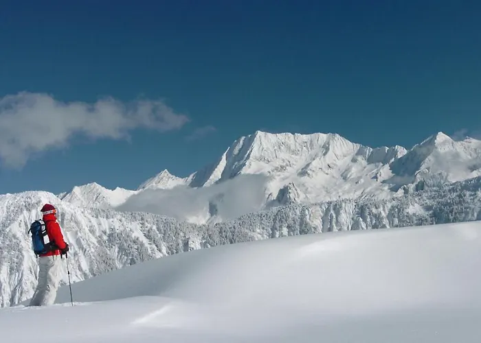 D'exception - Domaine Du Jardin Alpin, 1850