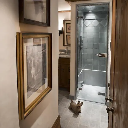 D'exception - Jardin Alpin - 1850